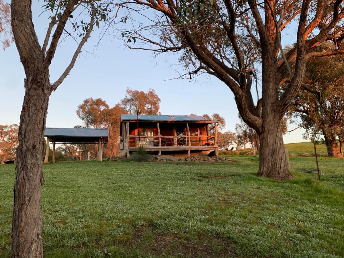 Gaddleen Grove Cottages Уодонга Экстерьер фото