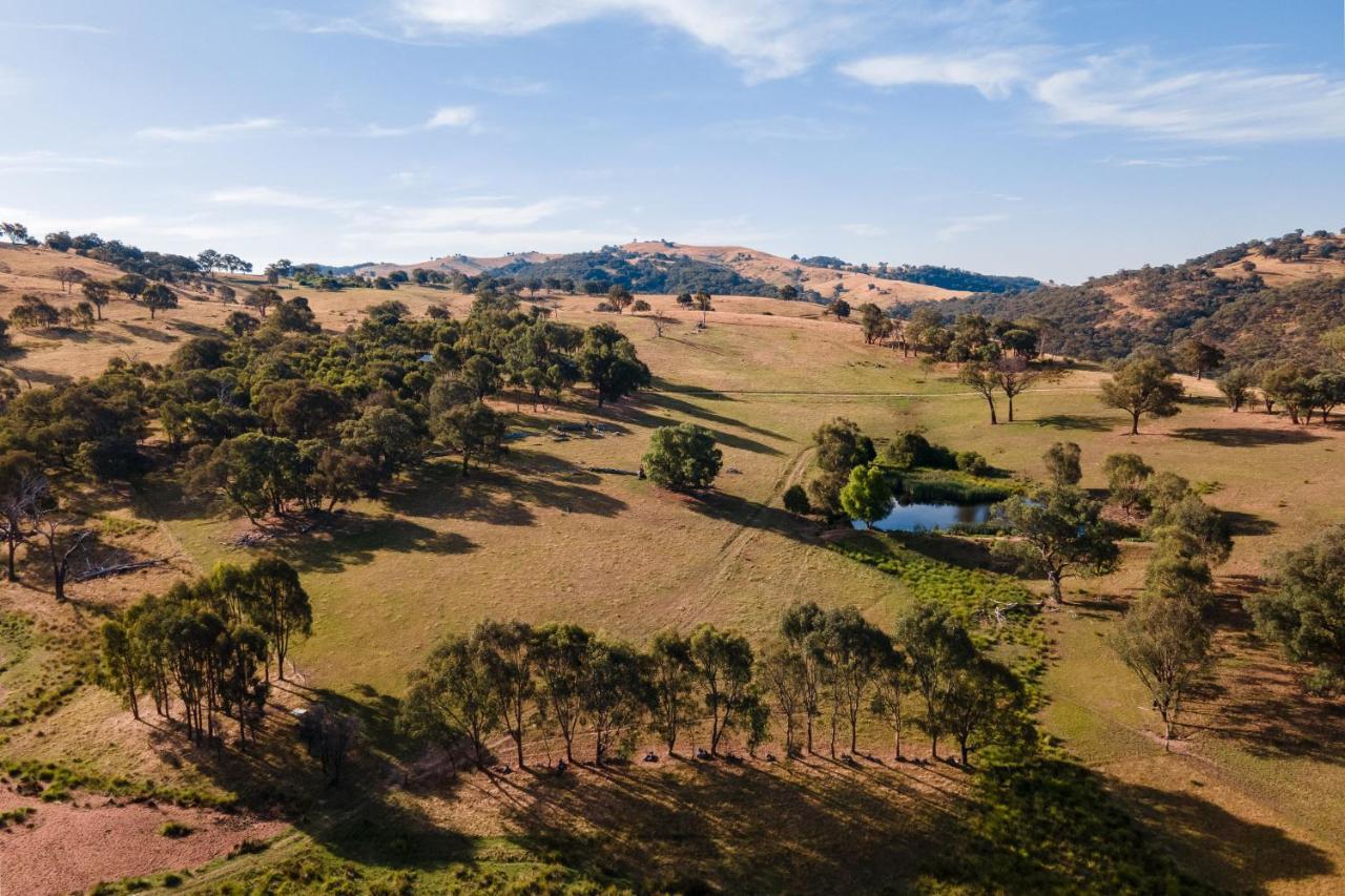 Gaddleen Grove Cottages Уодонга Экстерьер фото