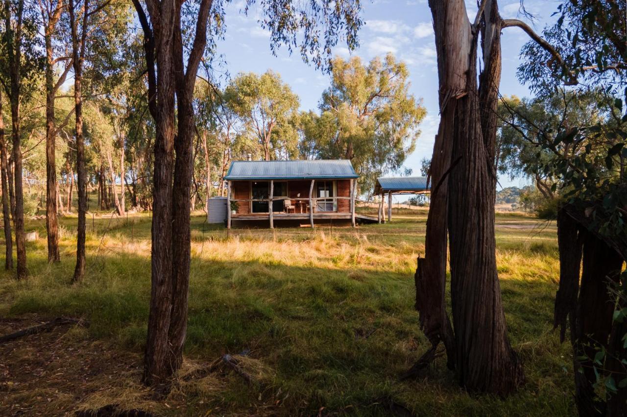 Gaddleen Grove Cottages Уодонга Экстерьер фото